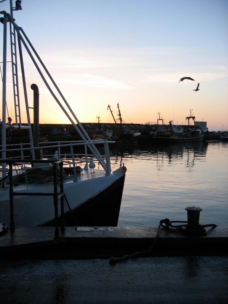 Newlyn Harbour Fish Market & Processing Units - Newlyn Harbour | © Pringle Richards Sharratt Limited Newlyn Harbour Fish Market & Processing Units - Newlyn Harbour