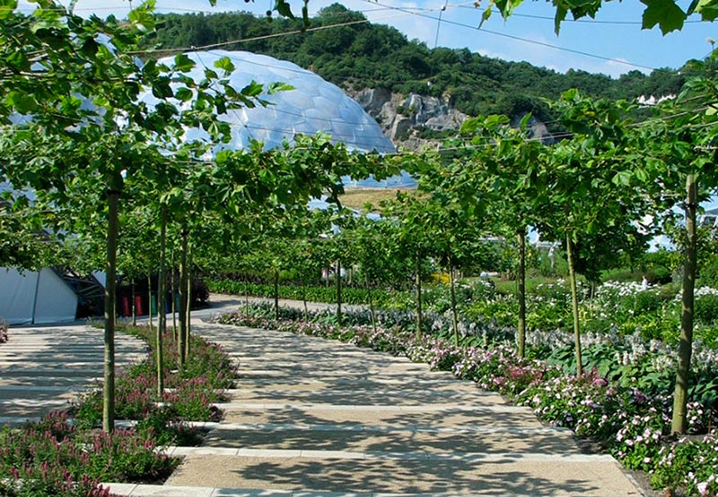 The Eden Project_Dominic Cole The Eden Project_Dominic Cole