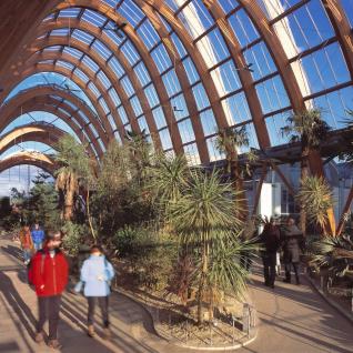Winter Garden, Sheffield - Interior View